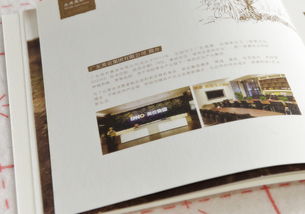 藝之光設(shè)計(jì) 以專(zhuān)業(yè)畫(huà)冊(cè)設(shè)計(jì)賦能食品企業(yè)品牌與招商